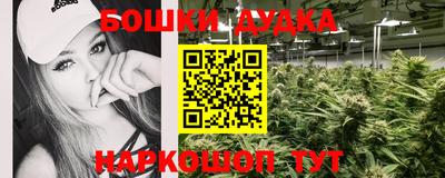 ALPHA PVP Новозыбков