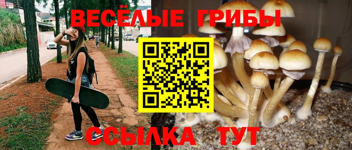 Псилоцибиновые грибы Cubensis  Вход с VPN  Альметьевск  Псилоцибиновые грибы Magic Shrooms 